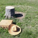 コロナウイルス対策でマイクロツーリズム 旅行会社としての取り組み